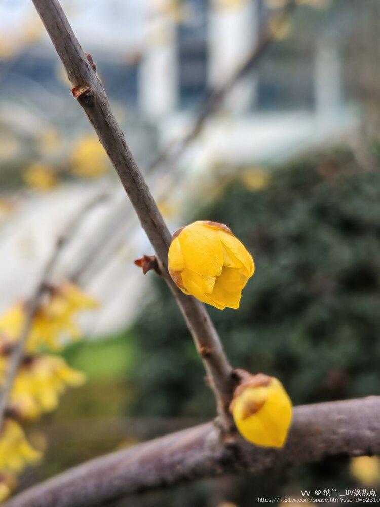 纳兰＿🎤V娱热点