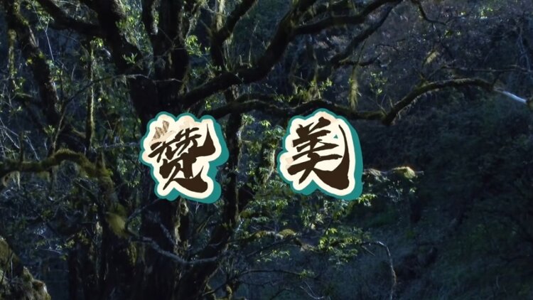 CH【文声汇影】
