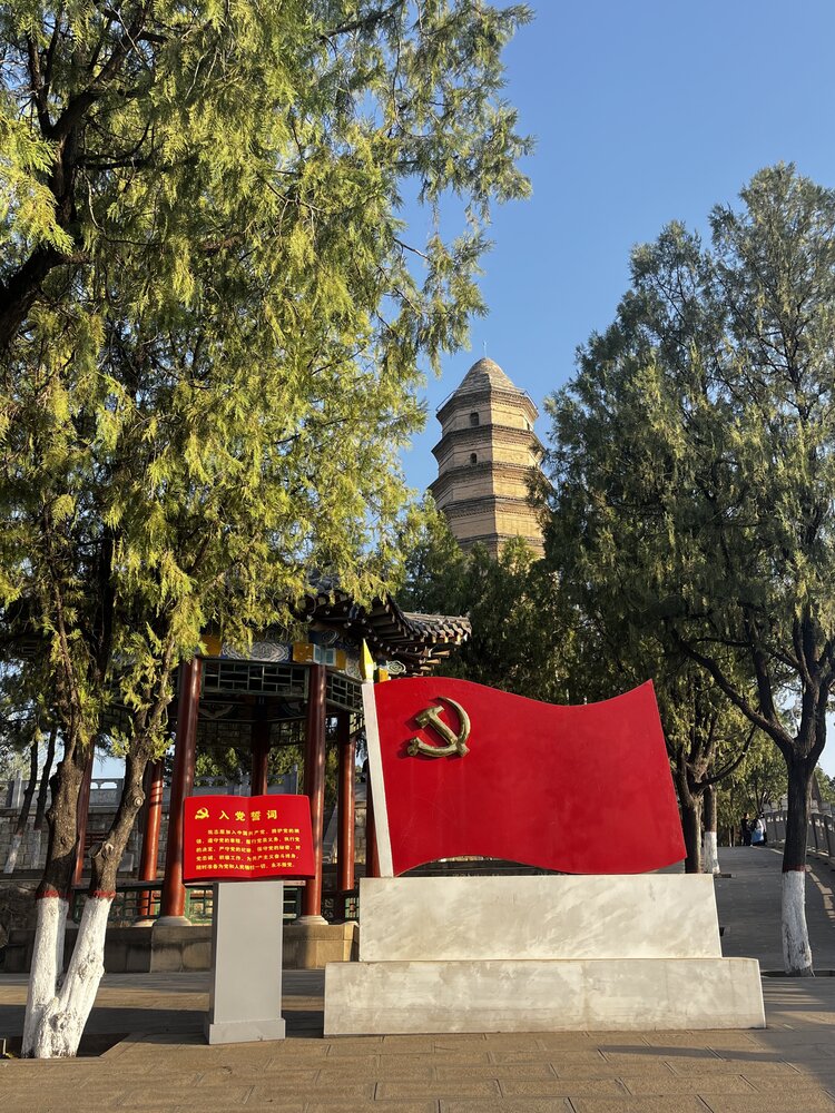 3号茹红