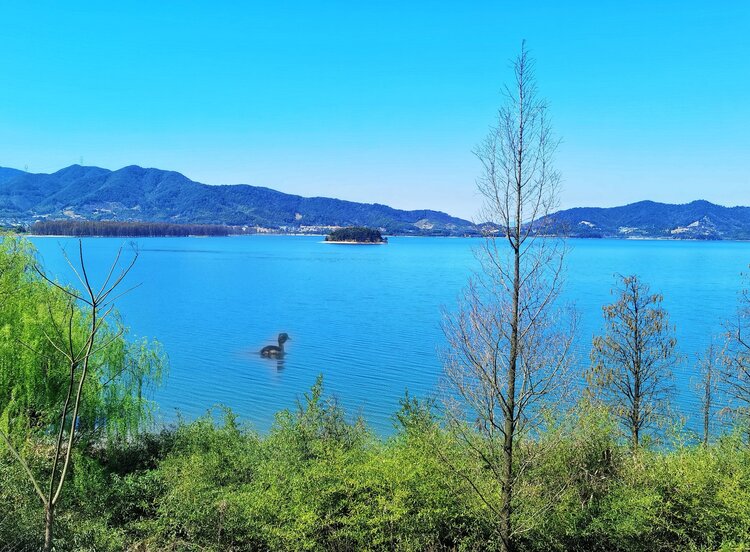 阳光明媚,气温宜人,女儿带老爸我去宁波余姚市旅游胜地四明湖度假