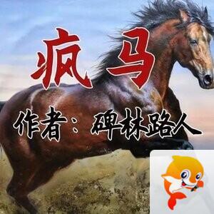 艳华:《疯马》 - VV