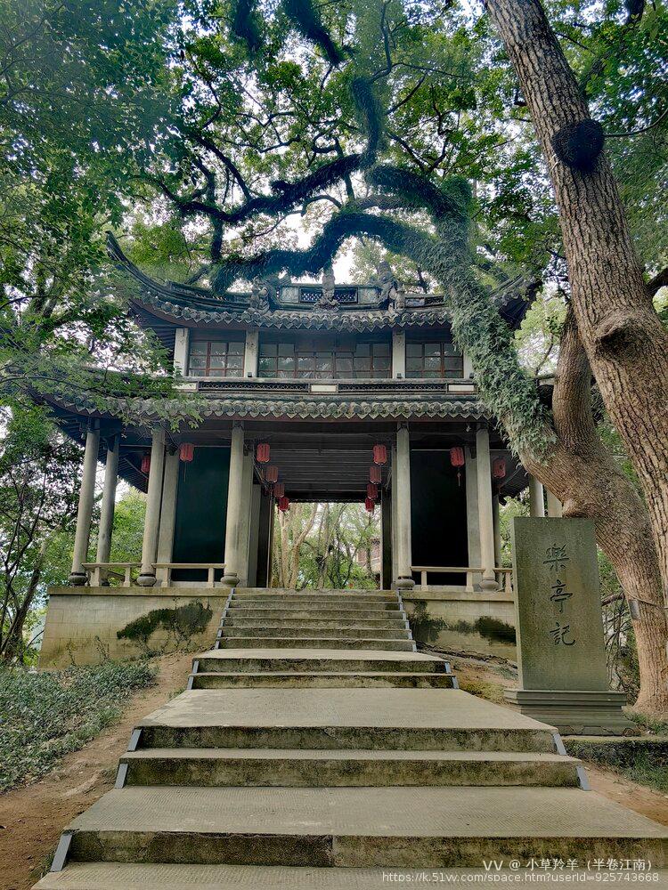 小草羚羊（半卷江南）