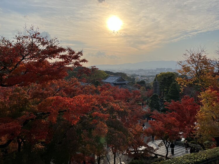 雪儿🎤V娱热点