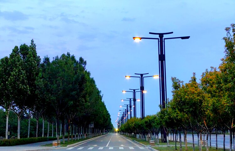 雨辉