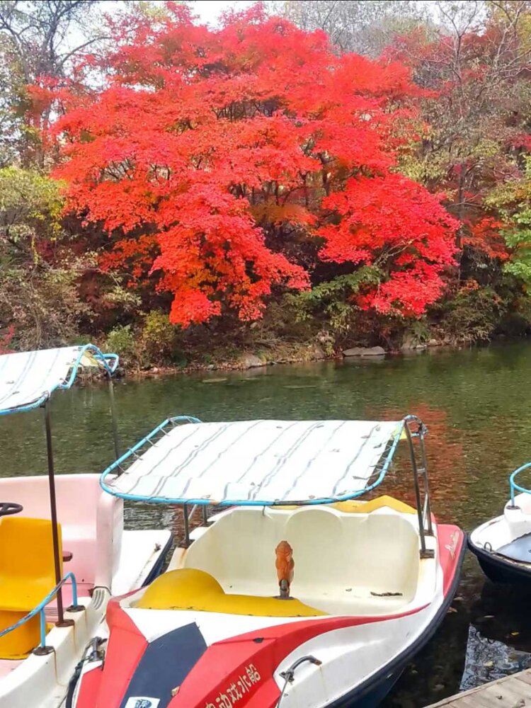 雪儿🎤V娱热点