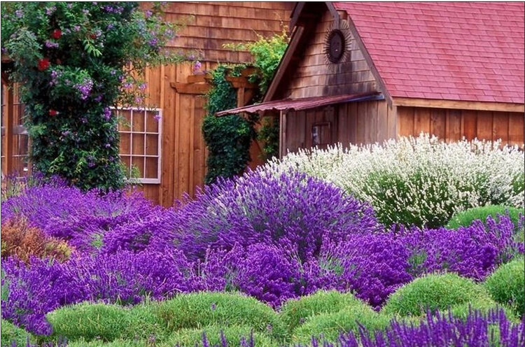 雪儿🎤V娱热点