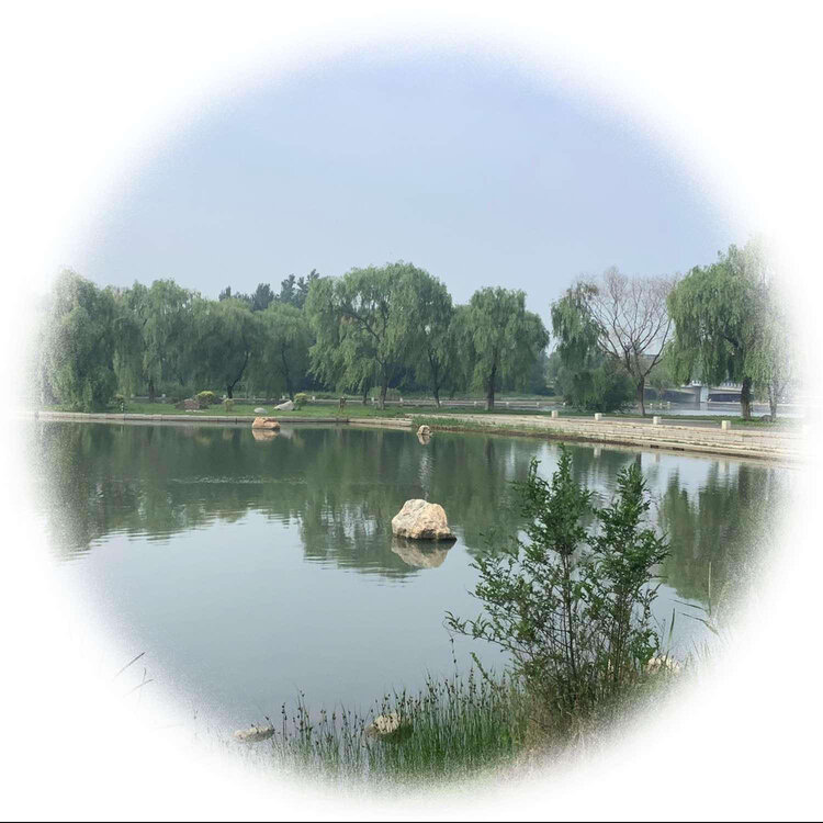 青士李振汉