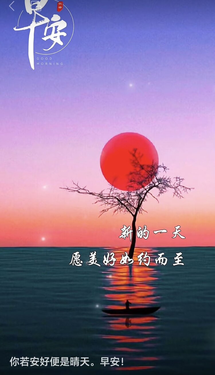 丽华榆钱