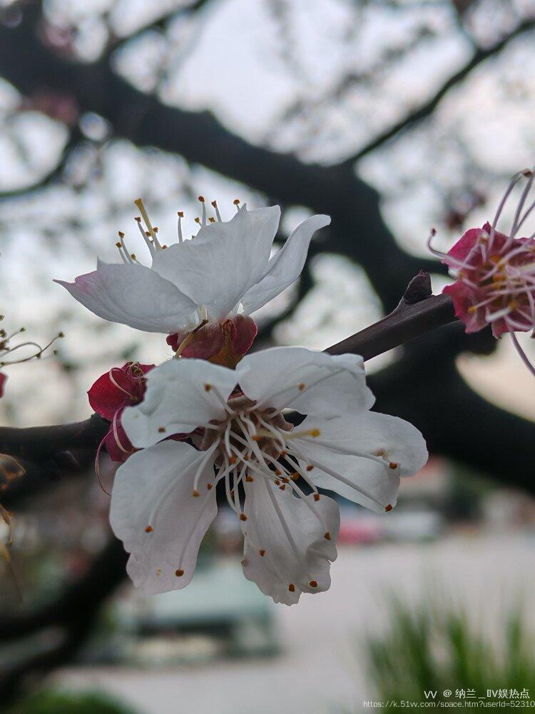 纳兰＿🎤V娱热点