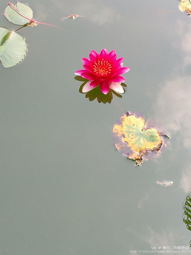 纳兰＿🎤V娱热点