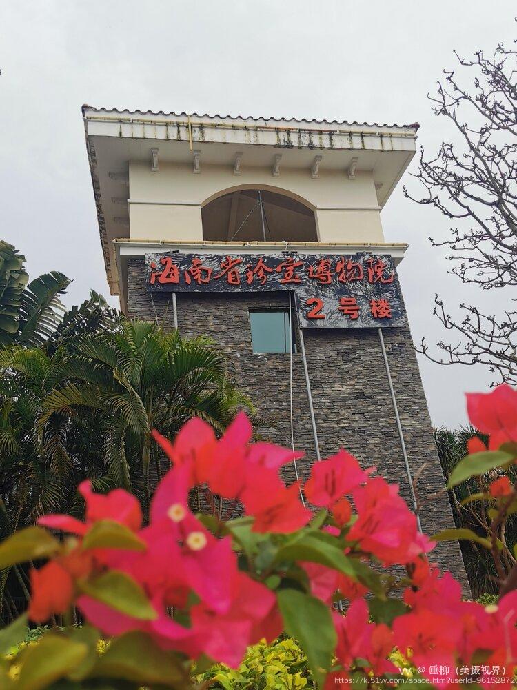 垂柳（美摄视界）