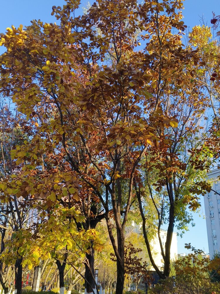 雪儿🎤V娱热点