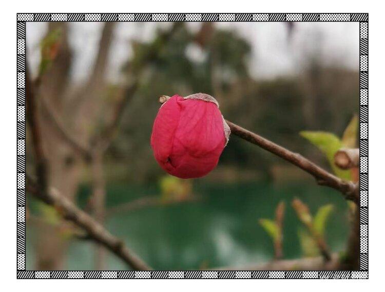 💞心✨援💞开心