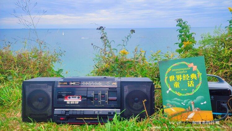 🇨🇦加国龙韵传媒🇨🇦