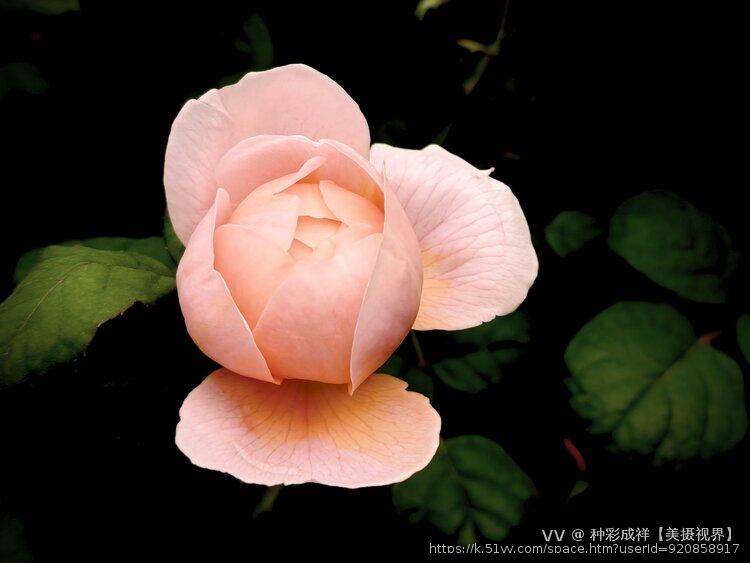 种彩成祥【美摄视界】