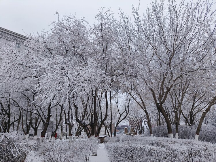 雪儿🎤V娱热点