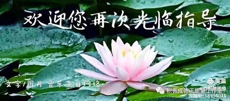 ༺༃茉莉花开༃༻