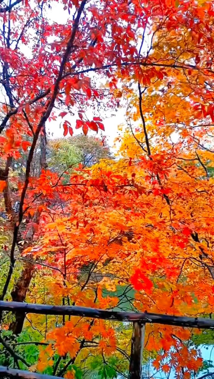 雪儿🎤V娱热点