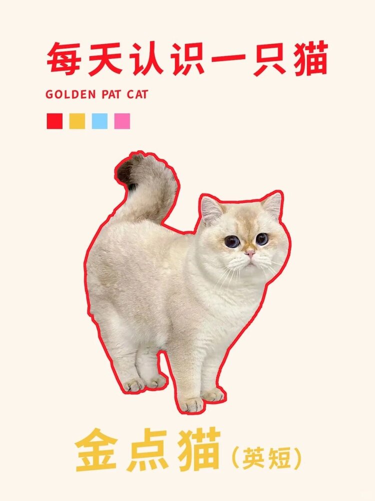 ྅爱ོℒฺℴฺ自νℯฺ己ོ༉