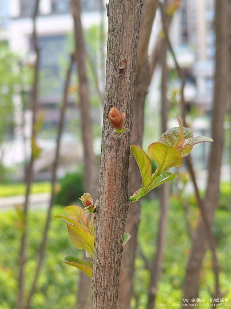 纳兰＿🎤V娱热点