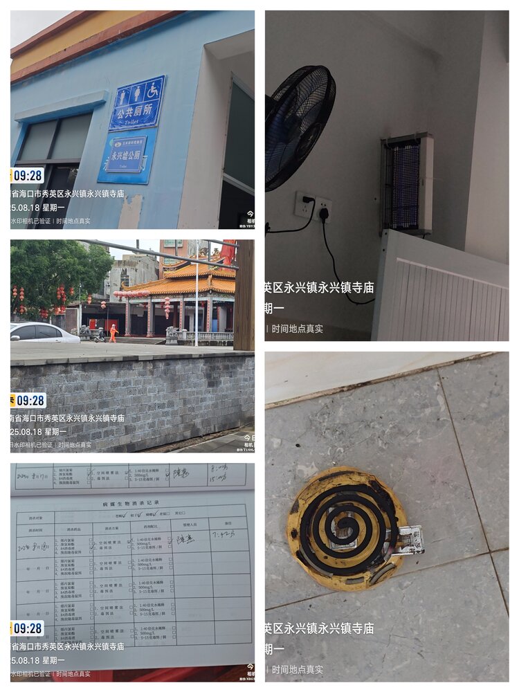 李翠花