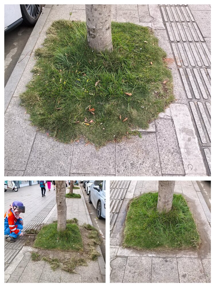 京环环境