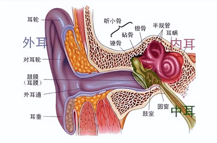 敏🍸豪族