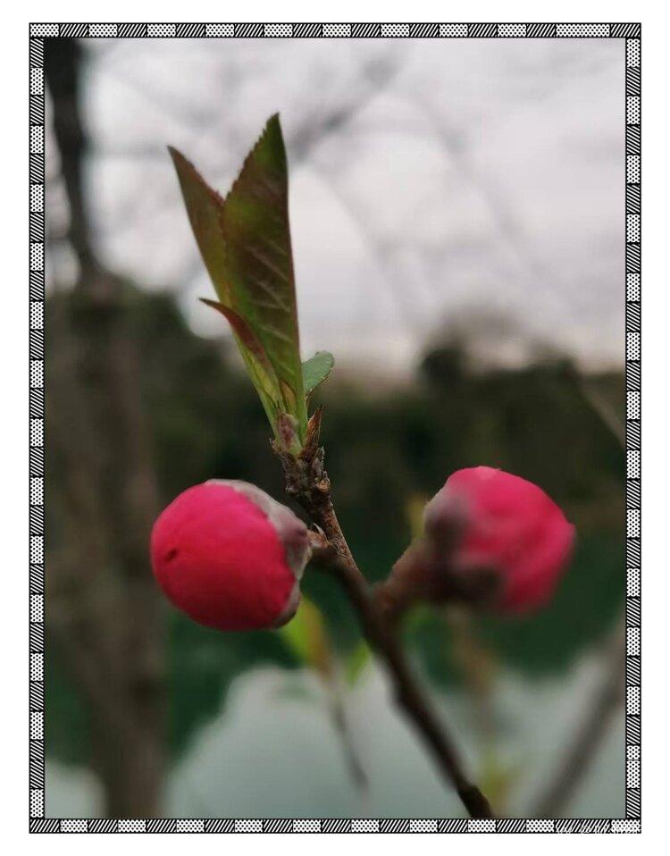 💞心✨援💞开心