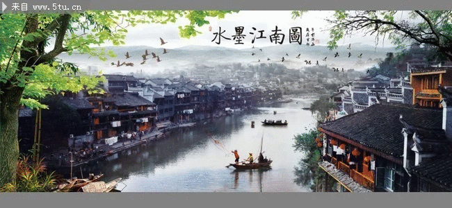 杨杨