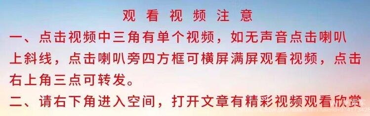 军军
