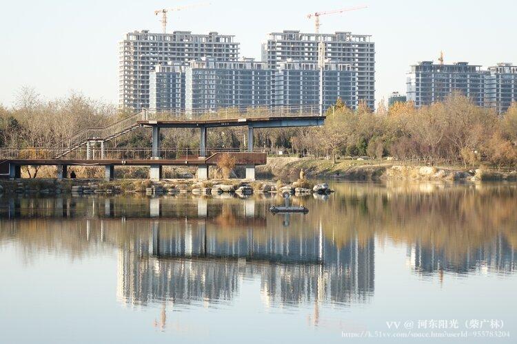 河东阳光（柴广林）