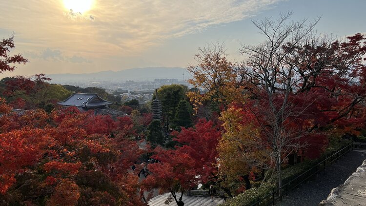 雪儿🎤V娱热点