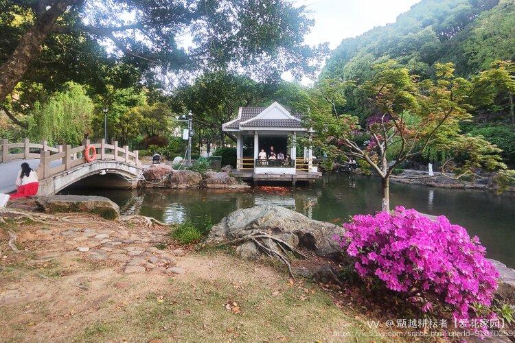 甌越耕耘者【爱花家园】