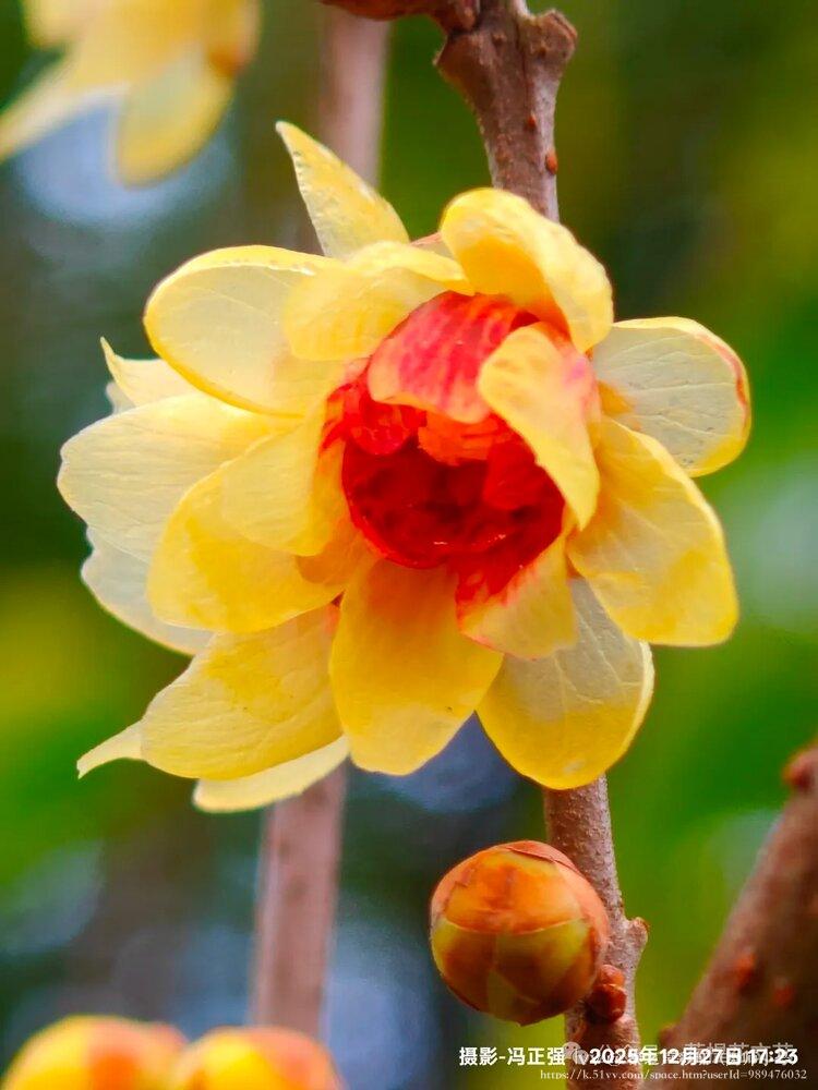 秦之声彩虹（舞师小号）