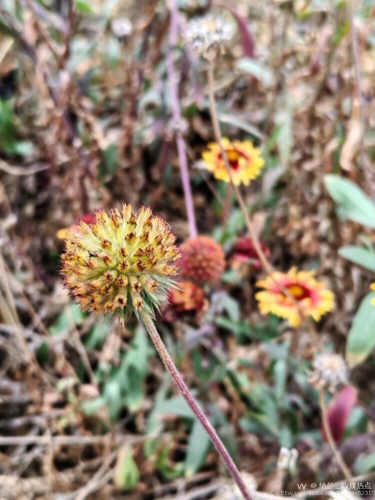 纳兰＿🎤V娱热点