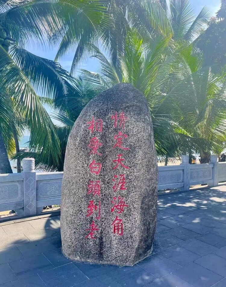 紫凝🎻馨✬꯭悦*࿐