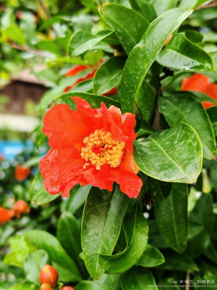 纳兰＿🎤V娱热点