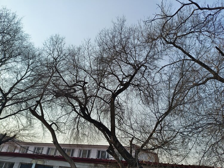 雪儿🎤V娱热点