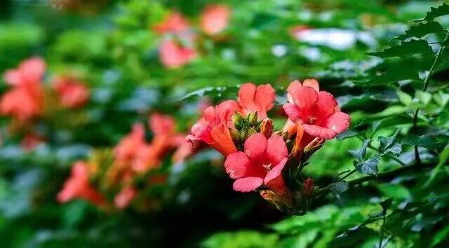 雪儿🎤V娱热点