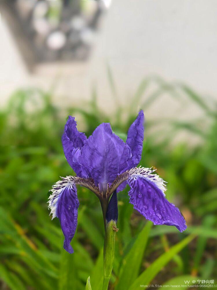 宁静向暖