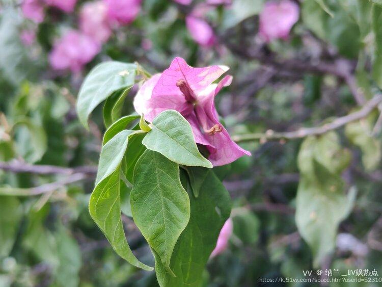 纳兰＿🎤V娱热点