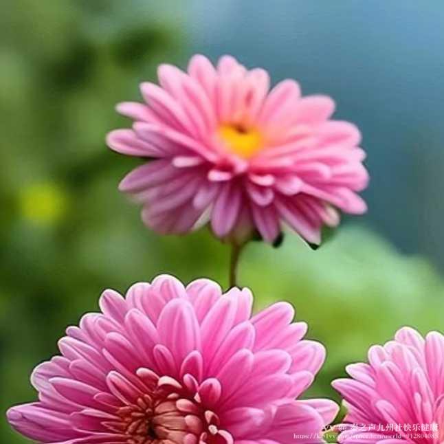 秦之声九州社快乐健康