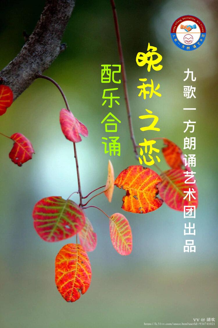 清欢