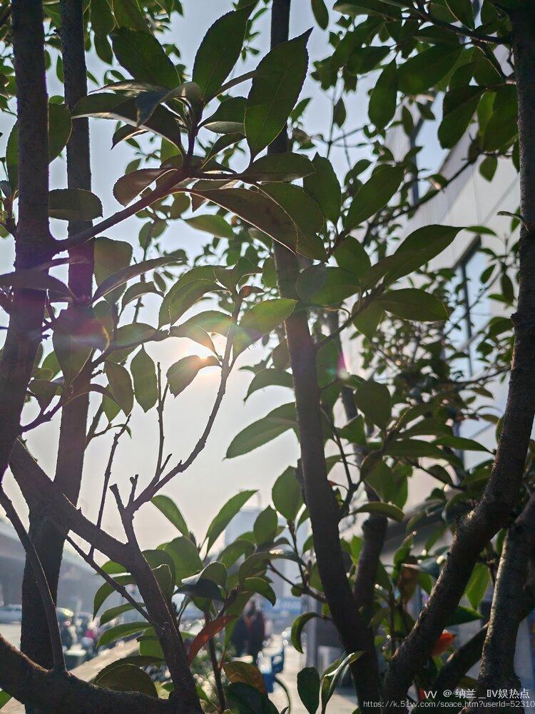 纳兰＿🎤V娱热点