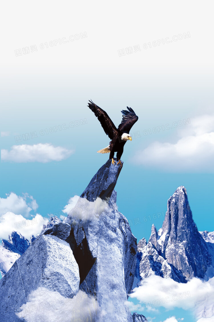 《雄鹰重生》作者:沙漠胡杨