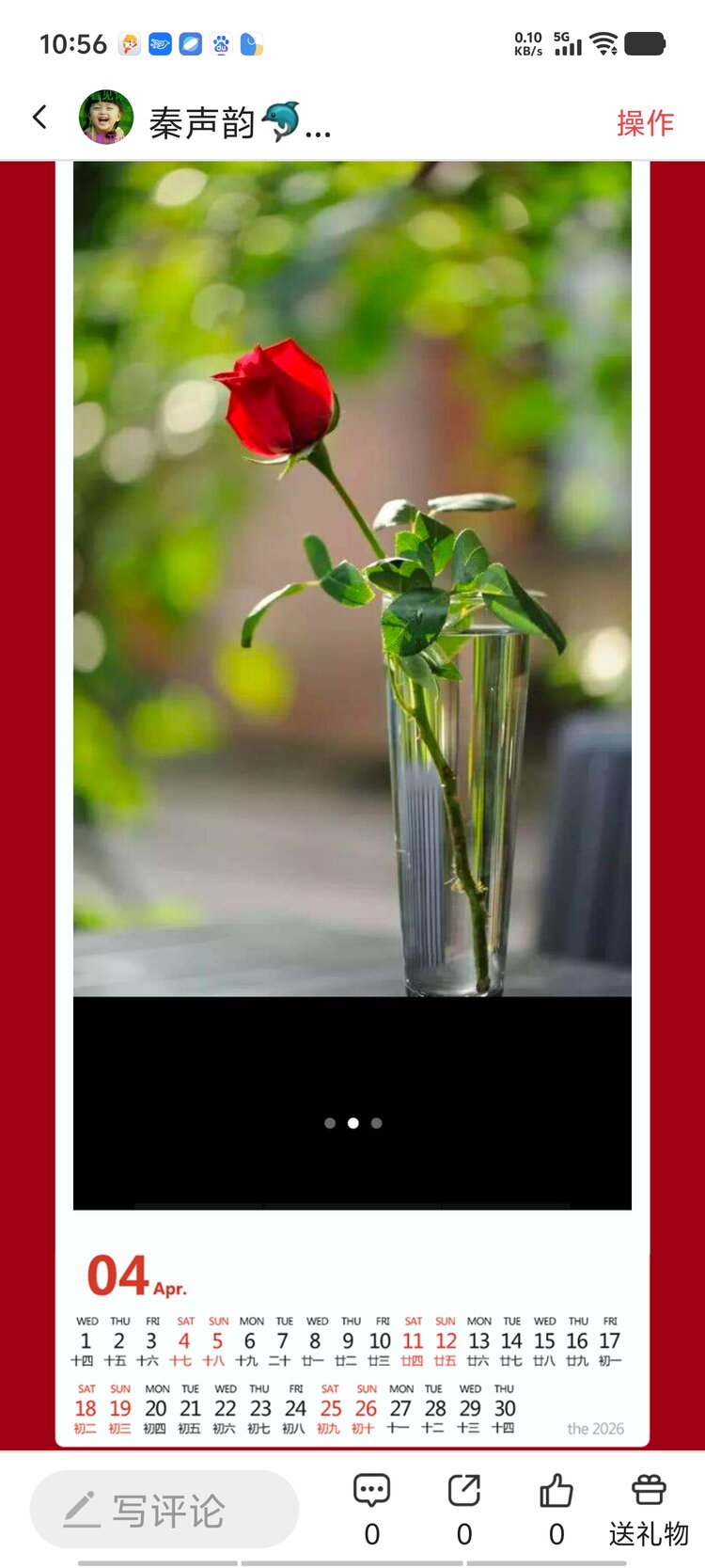 秦声韵🐬✨️🎀柯鳝🎀🌲