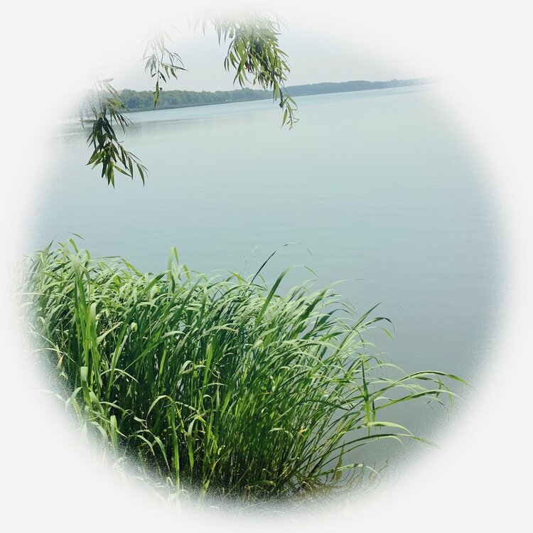 青士李振汉