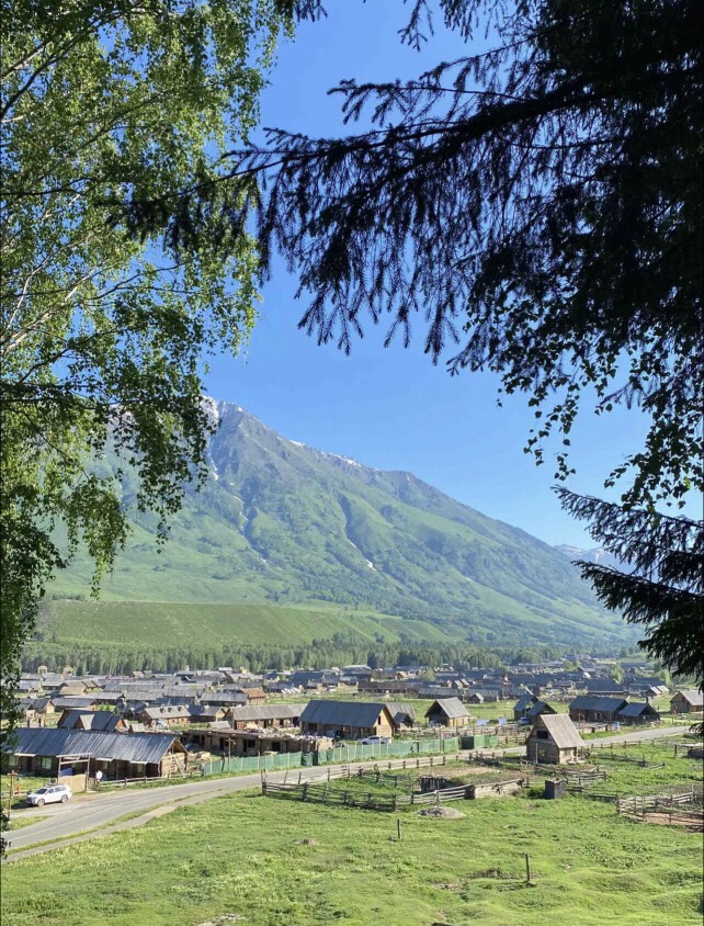 霸气💞一个叫木头吖