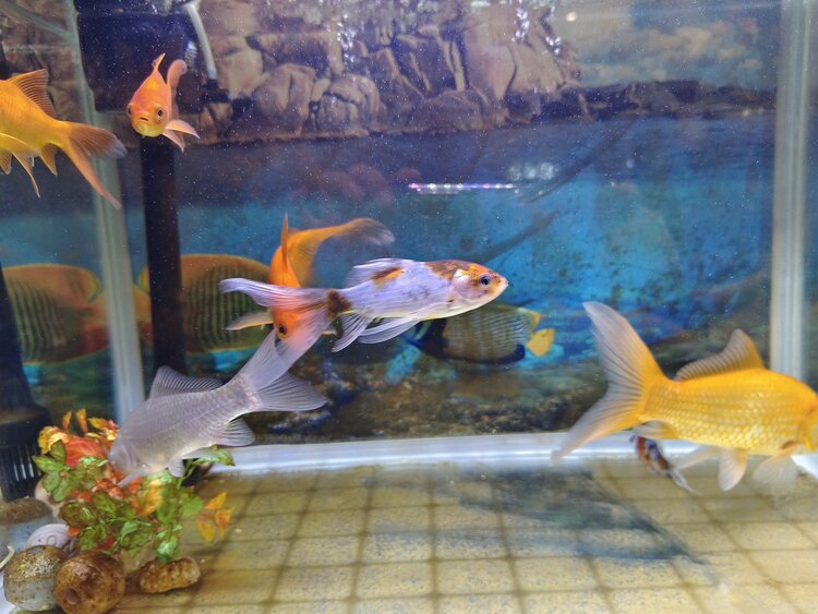 雪儿🎤V娱热点