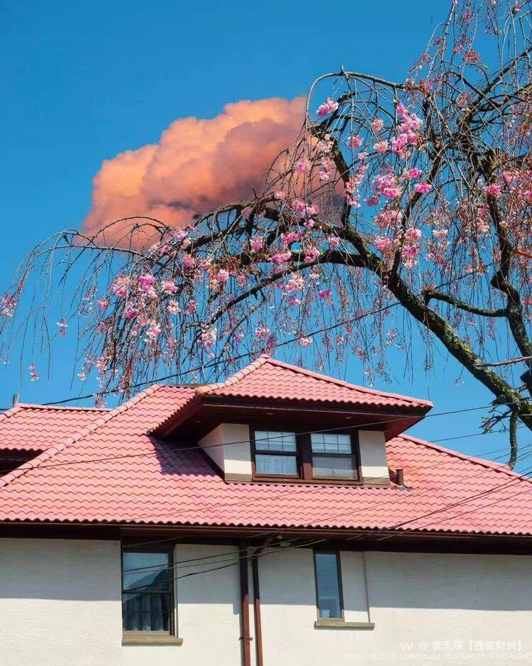 雪无垠【西窗剪烛】